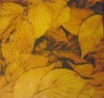 Wyse : Dead Leaves Shower